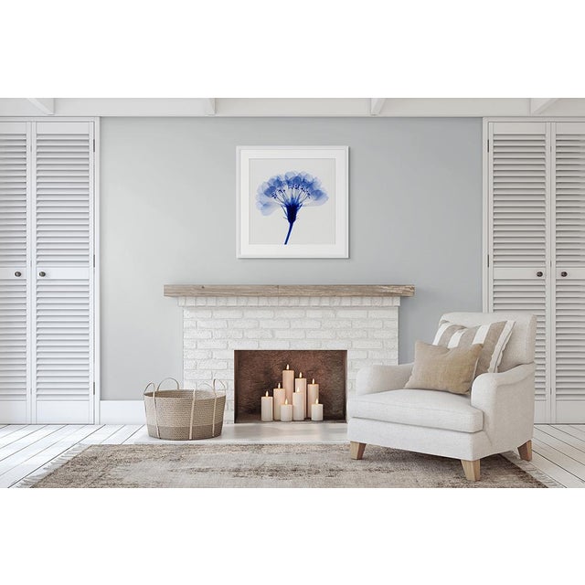 Whether you choose to frame them or leave them unframed, the botanical floral prints are an excellent choice for a...