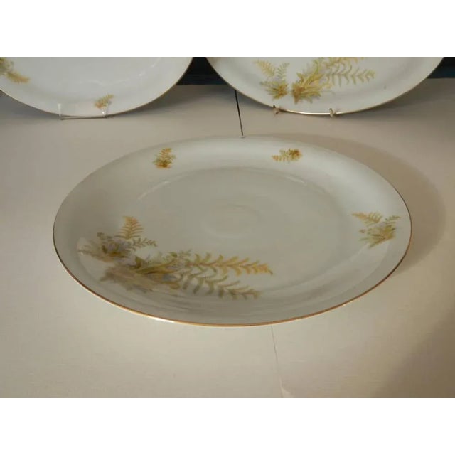 BAVARIA Tirschenreuth Dinner Plate and Tureen Set, 1970s, Set of 6 For Sale - Image 9 of 13