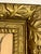 Wood Early 20th Century Framed J. Gould Bird Prints in Ornate Gilt Frames - a Pair For Sale - Image 7 of 18