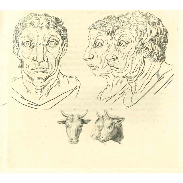 The physiognomy - The faces is an original etching artwork realized by Thomas Holloway for Johann Caspar Lavater's "Essays...