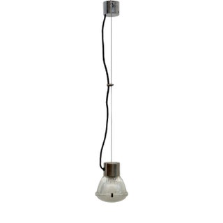 Pendant Light by Sergio Mazza, 1970s For Sale