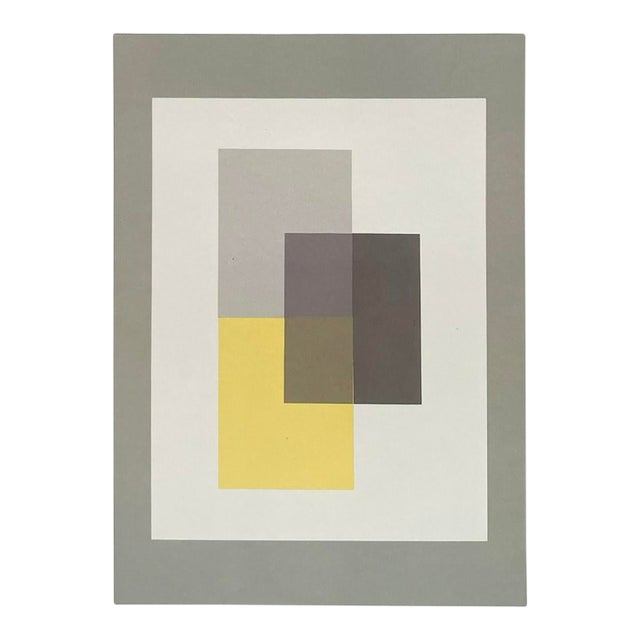 2009 Josef Albers the Interaction of Color Plate Ix-2 For Sale