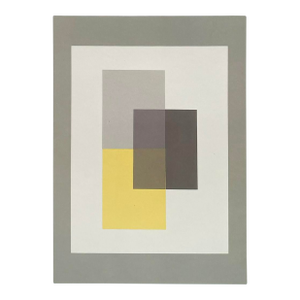 2009 Josef Albers the Interaction of Color Plate Ix-2
