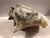 Shell Large Harbour Island Conch Shell For Sale - Image 7 of 11