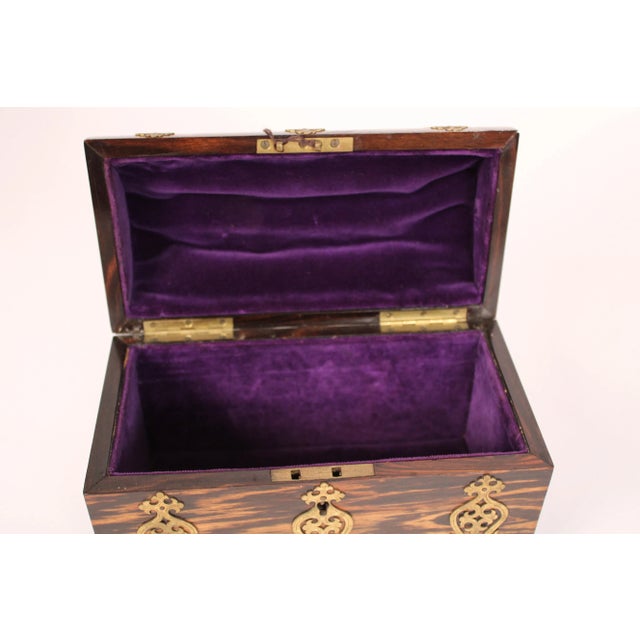 Traditional Antique Brass Mounted Calamander Wood Box For Sale - Image 3 of 9