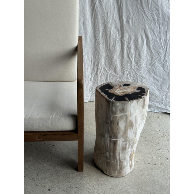 Large Side Table in Organic Petrified Wood with White Bark & Black Crescent Heart For Sale - Image 10 of 18