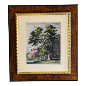 J. G. Strutt, Oriental Plane at Lee Place 1824 Colored Engraving Framed by Throwbridge Gallery London