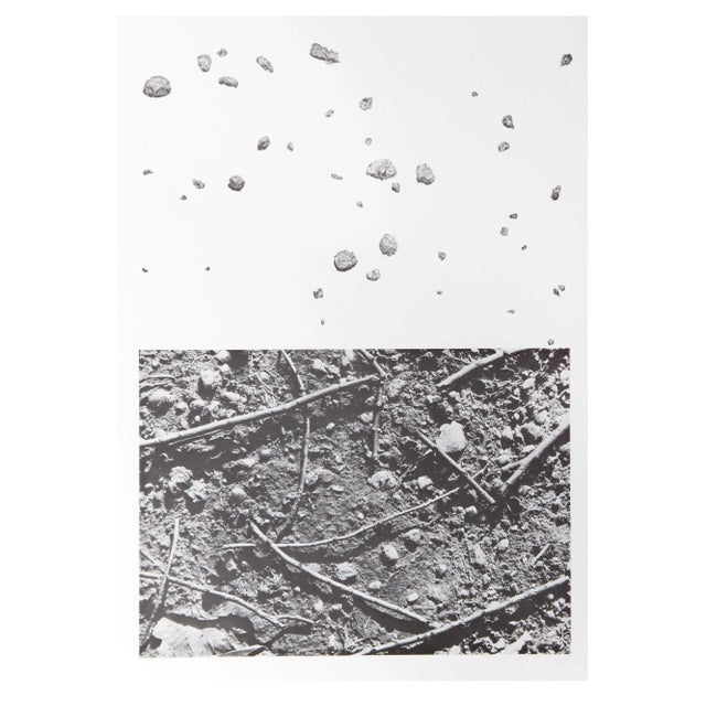 Alan Sonfist - Earth Series 1 Lithograph For Sale