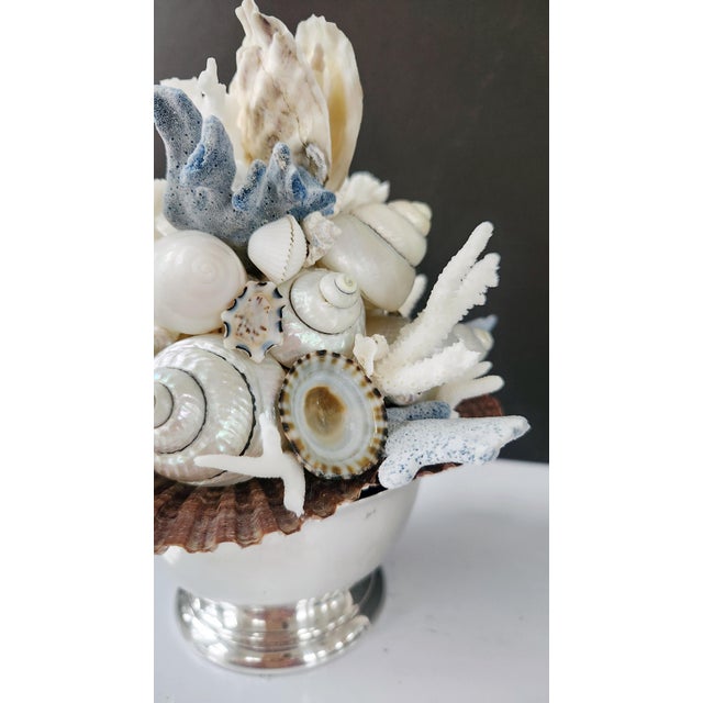 Handmade Coastal Seashell Sculpture – Seashell & Blue Ridge Coral Arrangement For Sale - Image 13 of 15