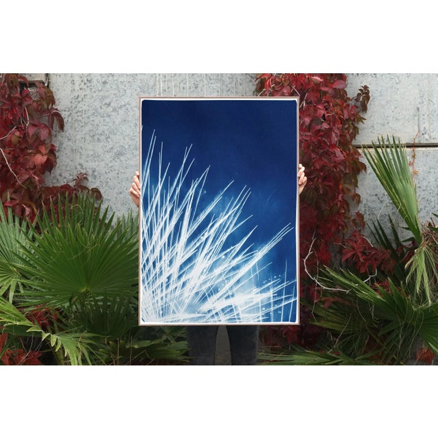 Handmade Cyanotype Print of Abstract Nighttime Fireworks Flaring For Sale In Miami - Image 6 of 12
