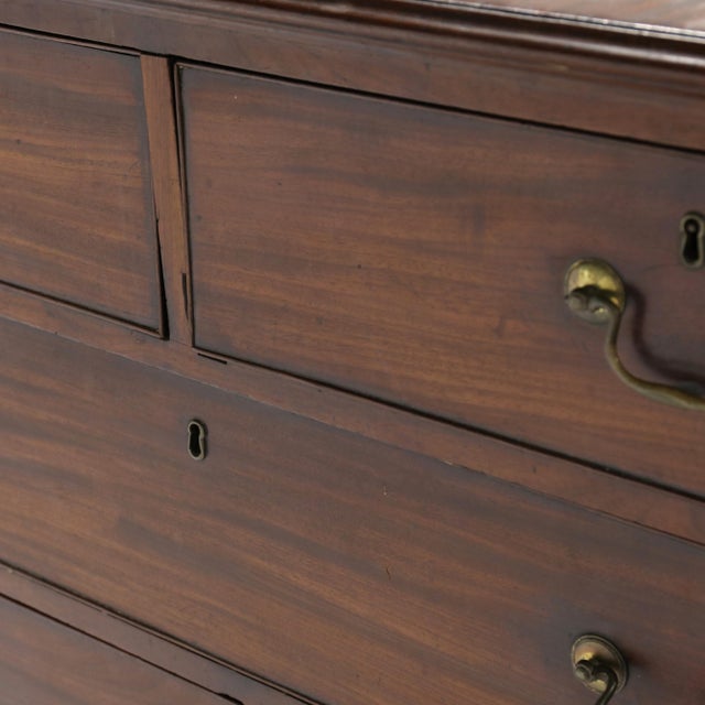Early 19th Century Large George III Mahogany Chest of Drawers For Sale In Charlotte - Image 6 of 8