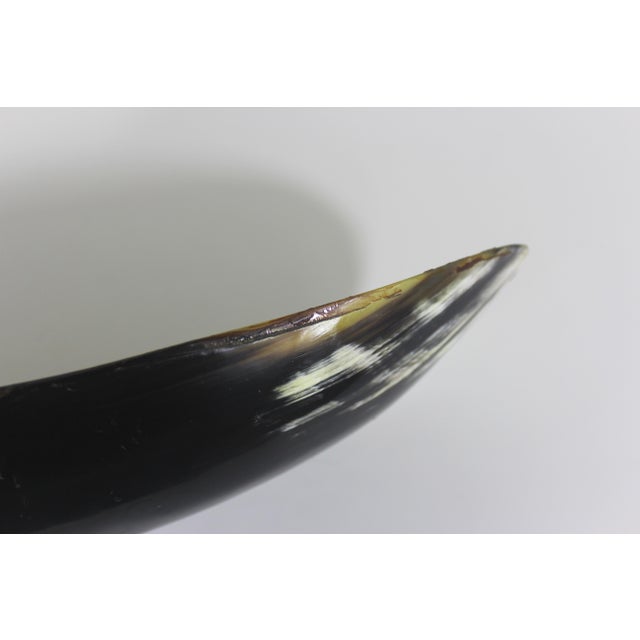 Vintage Horn Bowl, Natural Trinket Dish or Catchall For Sale - Image 10 of 12