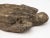 Vintage Reconstituted Stone Turtle Garden Ornament, England Mid 20th Century For Sale In New York - Image 6 of 8