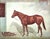 Paper "Classic Lines: A Gallery of the Great Thoroughbreds" 1975 Reeves, Richard Stone & Robinson, Patrick For Sale - Image 7 of 7