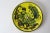 Big The Yello Bird Plate, 1960s, in Very Good conditions. Designed 1950 to 1959