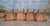 Bistro Chairs in Beech from Luterma, 1950s, Set of 8 For Sale - Image 6 of 16