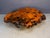 Vintage 1970s California Redwood Burl Live Edge Coffee Table on Redwood Stump Base For Sale - Image 10 of 15