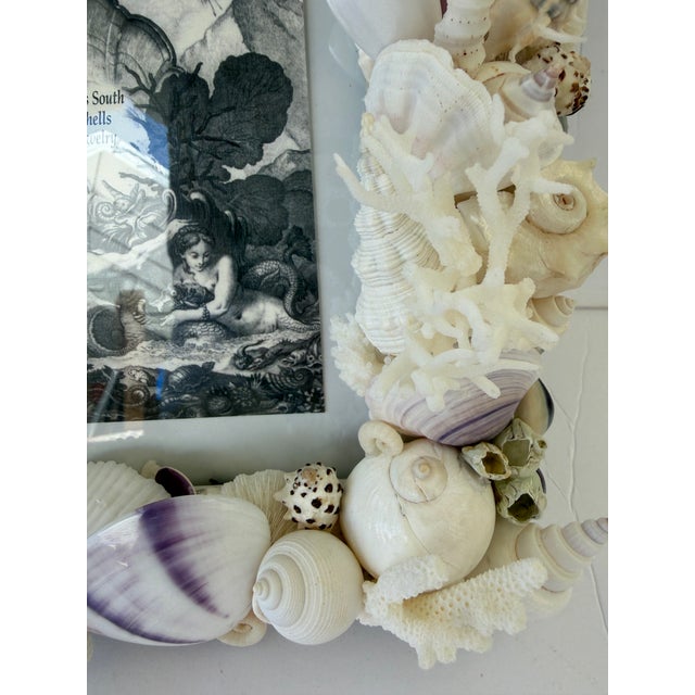Christa's South Seashells Custom CSS Seashell Frame in White & Purple Shells For Sale - Image 4 of 9