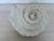 Large Vintage Beach Seashell Sculpture, White For Sale In New York - Image 6 of 6