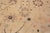 Turkish Nazmiyal Collection Modern Area Classic Turkish Oushak Design Contemporary Rug For Sale - Image 3 of 7