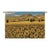 Sunflowers of Tuscany Loom Woven Tapestry - 63x90cm (2'1"x3'0") - Requires Rod Size 2 For Sale