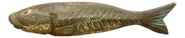 Example of Decoys