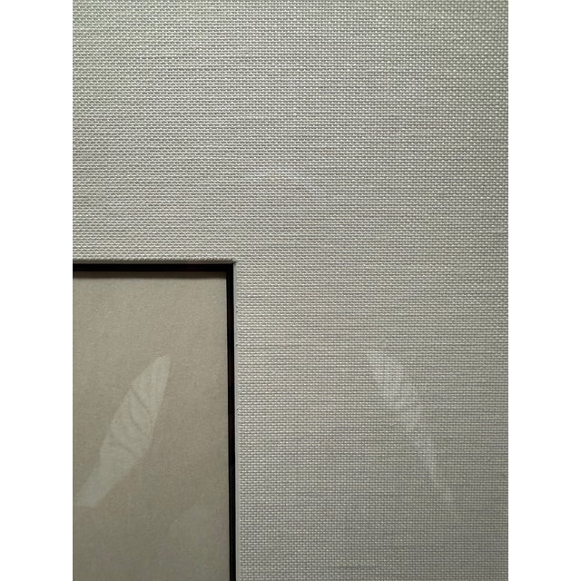 Paper 1952, Untitled [Dog] From Castle Street Dogs, Set of 3 Framed and Matted Woodblock Prints, Artist Leonard Baskin For Sale - Image 7 of 10