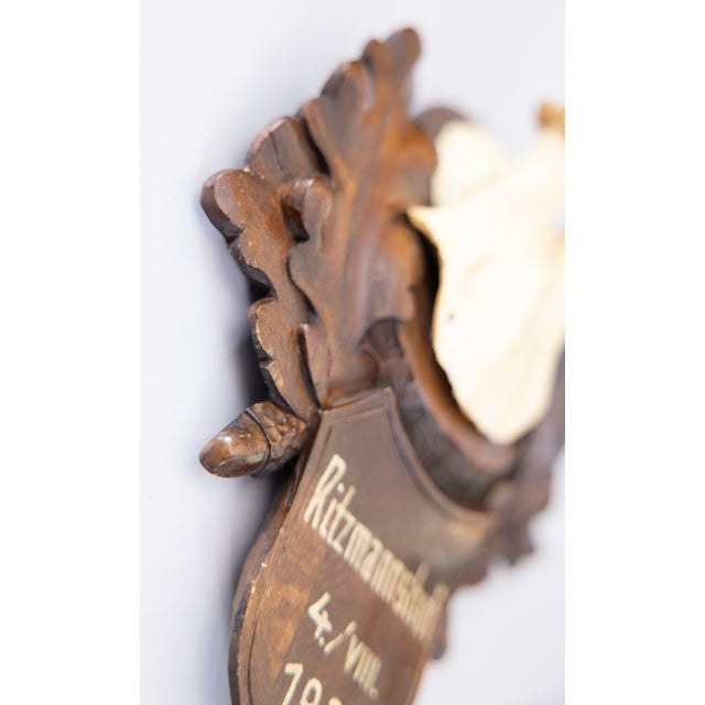 1920s Black Forest Roe Deer Antlers Hunting Trophy 1928 Mount For Sale - Image 5 of 7