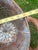 Vintage Olive/Harvest Bucket For Sale - Image 12 of 13