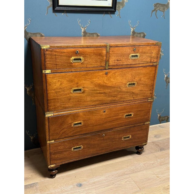 Military Campaign Chest of Drawers For Sale - Image 13 of 13