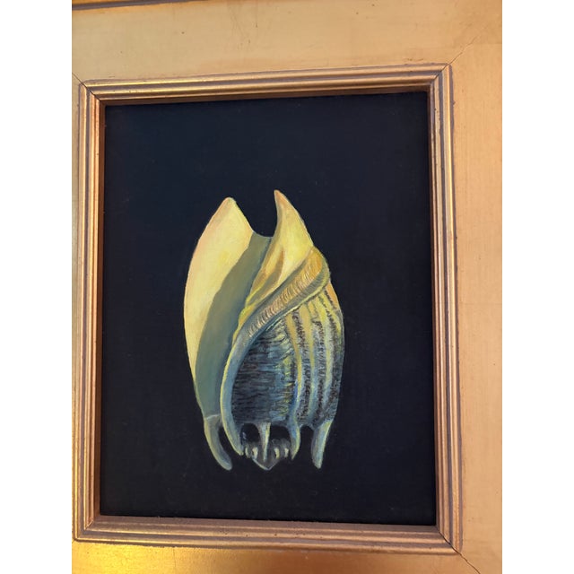 Beautifully detailed oil painting on canvasboard of a large conch type seashell. Painted in the 1980s by Pittsburgh...