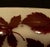 French Art Nouveau Cameo Glass Centrepiece with Oak Leaves, 1900s For Sale - Image 4 of 7