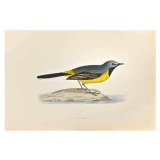 Alexander Francis Lydon, Grey Wagtail, Woodcut Print, 1870 For Sale