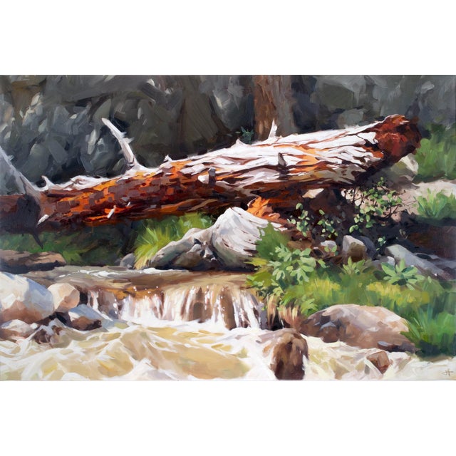 Summer Falls by Judd Mercer | Oil Painting of a fallen tree over a stream with rocks and greenery For Sale