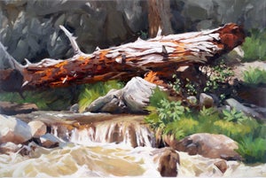 Summer Falls by Judd Mercer | Oil Painting of a fallen tree over a stream with rocks and greenery