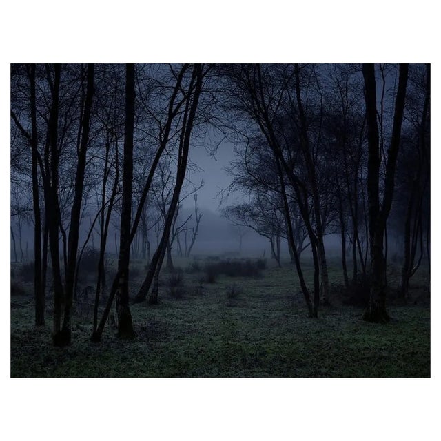 Ellie Davies, Stillness 3, C-Type Print For Sale
