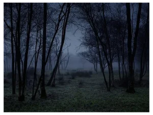 Ellie Davies, Stillness 3, C-Type Print