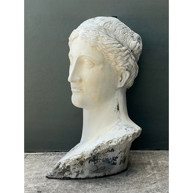 Vintage Monumental Fiberglass Roman Goddess Head Sculpture For Sale - Image 11 of 12