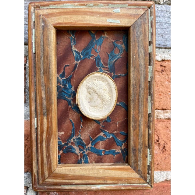 Wood Classical Framed Grand Tour Intaglios in 1880s Pine Frame For Sale - Image 7 of 8