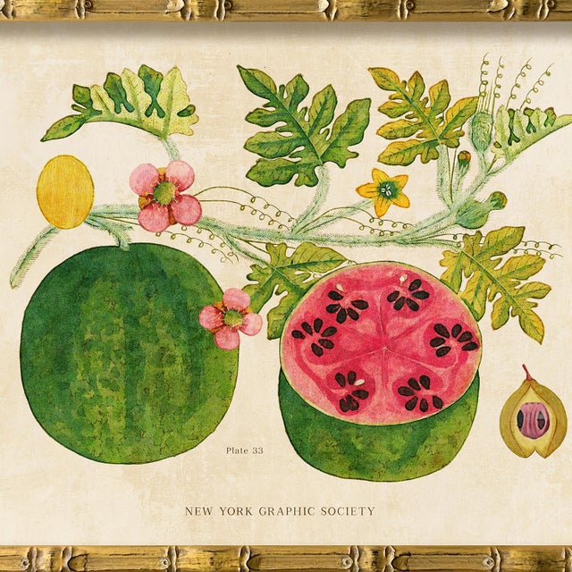 Illustration Reproduction Giclee Print of Vintage Fruit & Flowers (6) Art Print, Framed For Sale - Image 3 of 6