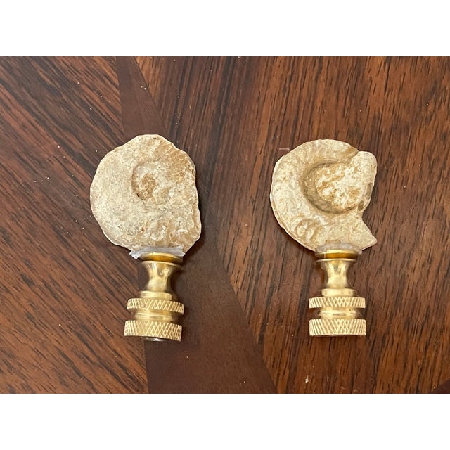 Contemporary 1960s Ammonite Lamp Finials - a Pair For Sale - Image 3 of 3