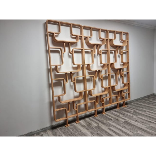 Room Dividers by Ludvik Volak for Drevopodnik Holesov, 1950s, Set of 3 For Sale - Image 15 of 17