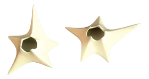 1950s Antonia Campi Italian Candleholders - a Pair