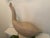 Vintage Wood Carved Folk Art Rustic Goose Decoy For Sale - Image 4 of 12