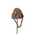 Textile Early 20th Century Lega Bwami Society Shell Hat For Sale - Image 7 of 8