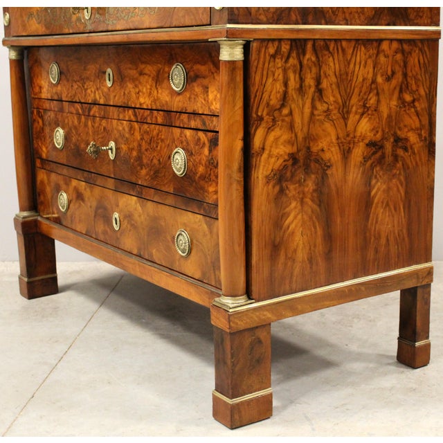 Brown Italian Empire Chest of Drawers in Walnut For Sale - Image 8 of 16