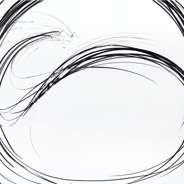 Pigment pencil on Mylar Edition: Unique, Unframed. The Maelstrom Series include the most iconic and known of Peernas...