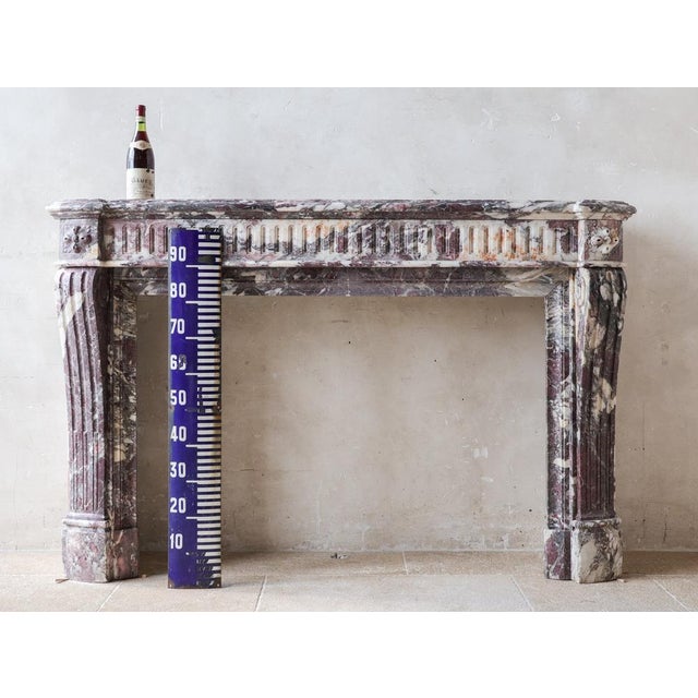Large Louis XVI French Fireplace in Exceptional Fleur De Pêche Marble For Sale - Image 3 of 16