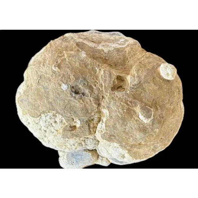 Large Natural Split Pair Crystal Quartz Geode. #2 For Sale - Image 12 of 12