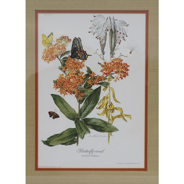 Colorful, nicely framed print of butterfly weed. I love the orange hues and the butterfly on this print. The mat looks...